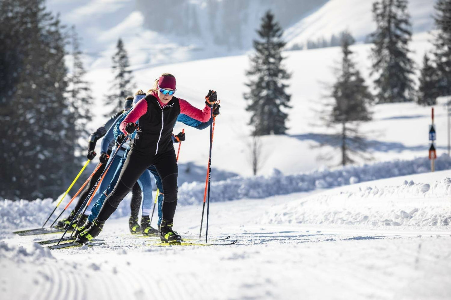 Löffler Tights WS softshell warm naiset